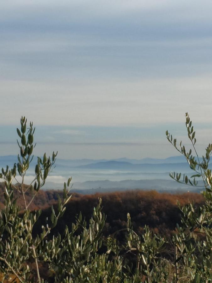 Agriturismo La Provenca Кьянчано-Терме Экстерьер фото