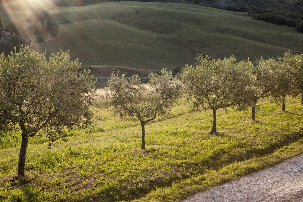 Agriturismo La Provenca Кьянчано-Терме Экстерьер фото